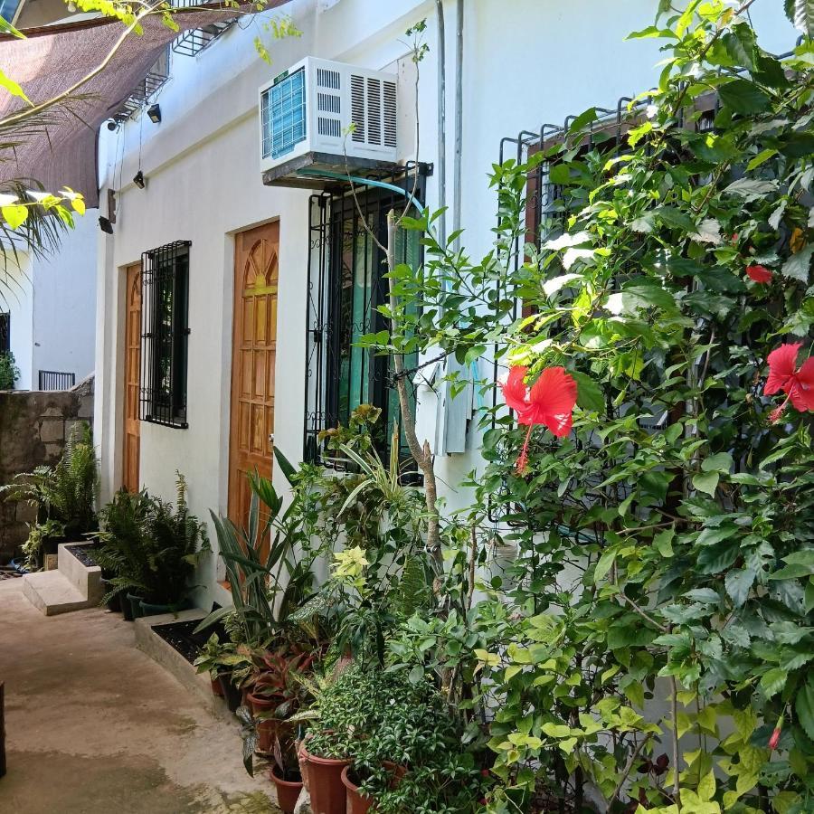 Susing Seaside Guesthouse モアルボアル エクステリア 写真