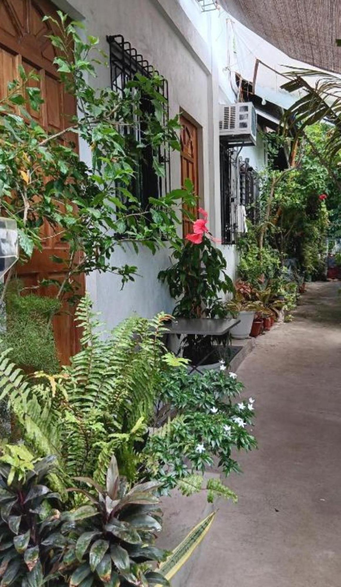 Susing Seaside Guesthouse モアルボアル エクステリア 写真